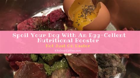 Do Eggs Help Dogs Coat