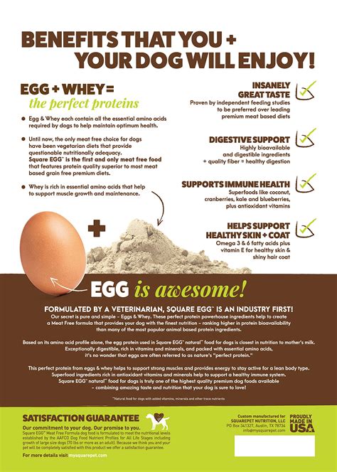 Do Eggs Help With Dogs Coat