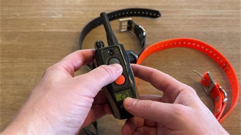 Do Electric Dog Training Collars Work