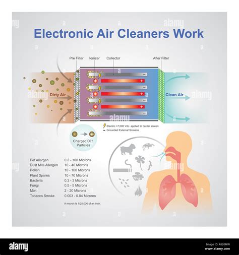 Do Electronic Air Cleaners Work