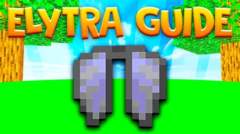 Do Elytra Despawn