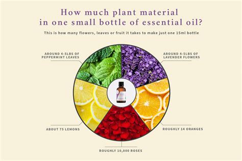 Do Essential Oils Work For Plants