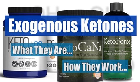 Do Exogenous Ketones Work Reddit