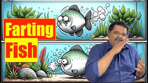 Do Fish Fart: Myth Uncovered