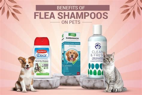 Do Flea Shampoos Really Work