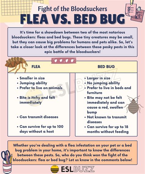 Do Fleas Live On Blankets