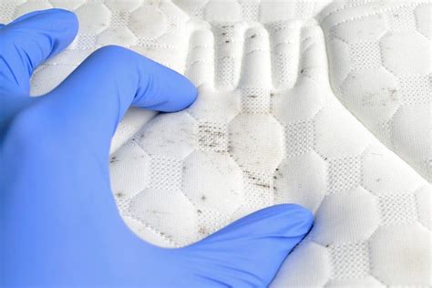 Do Foam Mattresses Mold