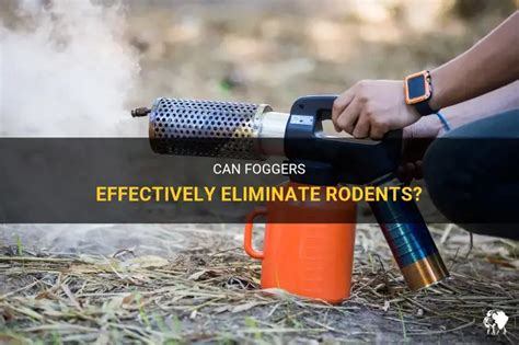 Do Foggers Kill Snakes