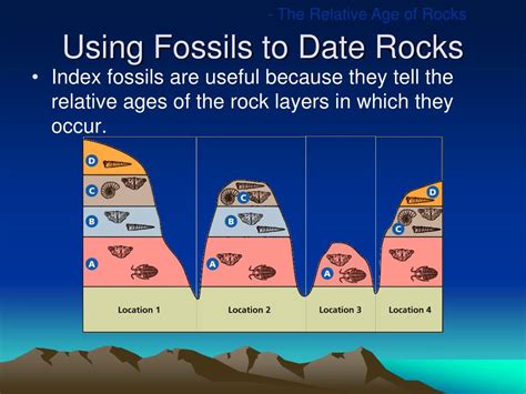 Do Fossils Help Scientists Date Rocks True Or False
