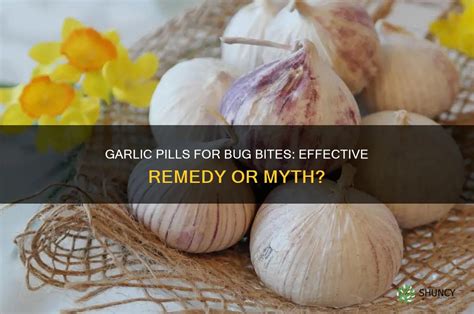 Do Garlic Pills Help With Bug Bites