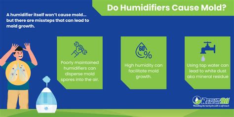 Do Humidifiers Cause Mold