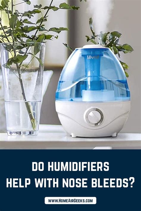 Do Humidifiers Help Break Up Mucus