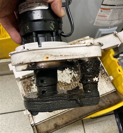 Do Ice Makers Need To Be Cleaned