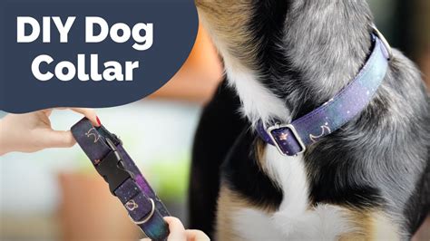 Do It Yourself Dog Collar