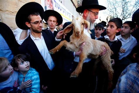 do jews still sacrifice lambs on passover