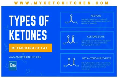 Do Ketones Actually Work