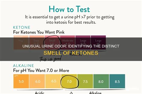 Do Ketones Smell