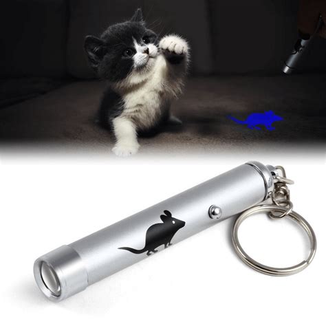 Do Laser Pointers Hurt Dogs