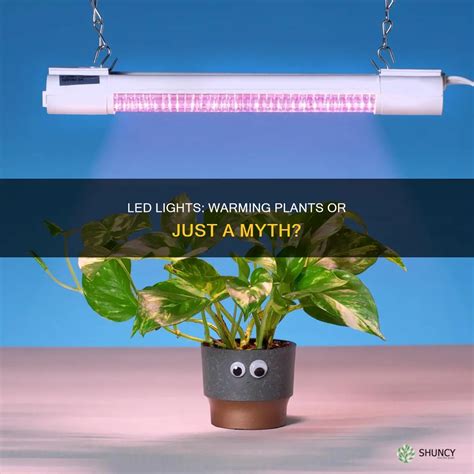 Do Led Lights Keep Plants Warm