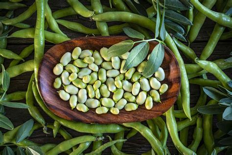 Do Lima Beans Help Lower Cholesterol