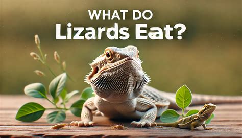 Do Lizards Eat Vegetation