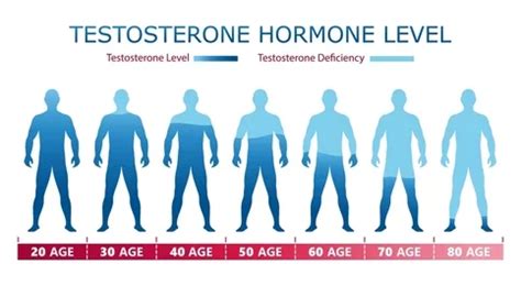 Do Men's Testosterone Get Low
