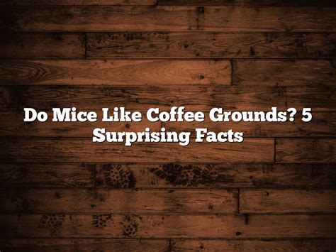 Do Mice Like Coffee