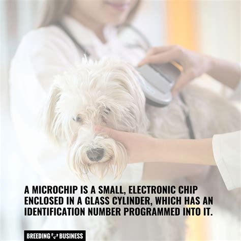 do microchips have gps
