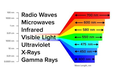 Do Microwaves Use Gamma Rays
