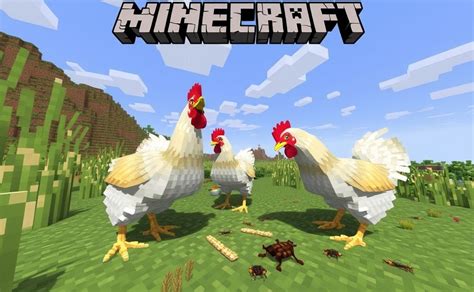 Do Minecraft Chickens Need Grass