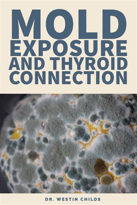 Do Mold Cause Thyroid Problems