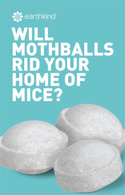 Do Mothballs Work On Mice