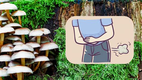 do mushrooms cause flatulence