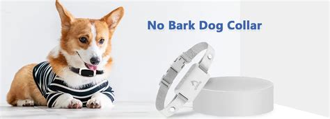 Do No Bark Dog Collars Work