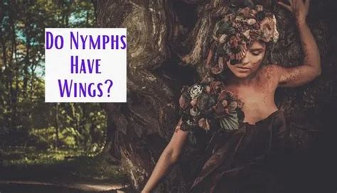 do nymphs have wings