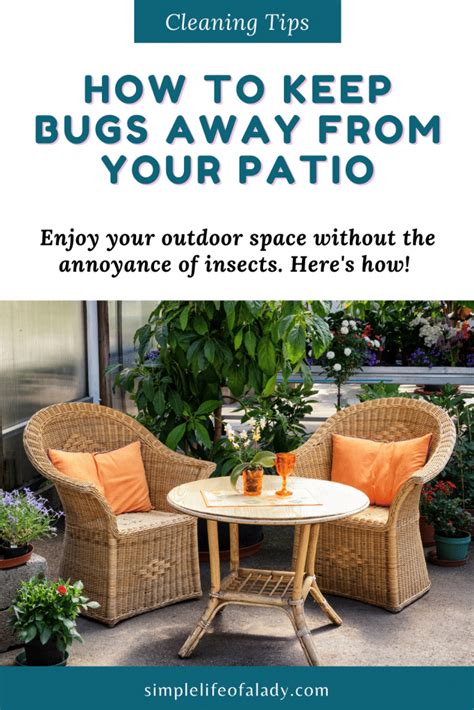 Do Outdoor Fans Help With Bugs