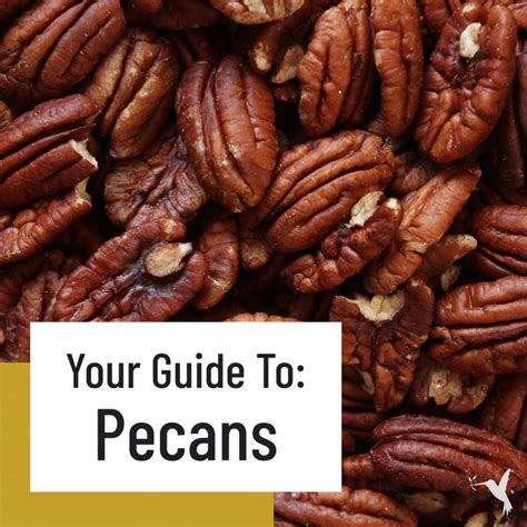 Do Pecans Make You Fart