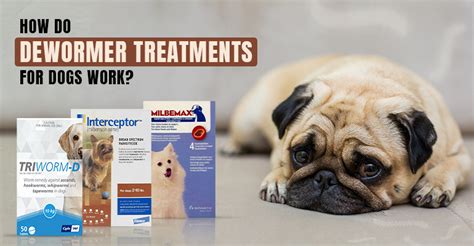 Do Pet Store Dewormers Work