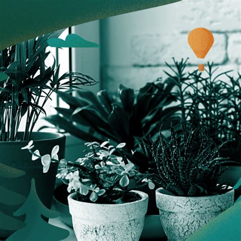 Do Plants Help With Depression