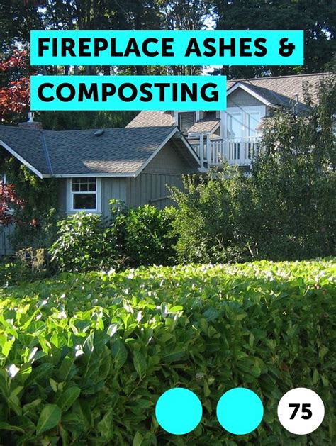 Do Plants Like Fireplace Ashes