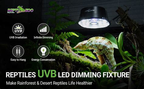 Do Plants Need Uvb Light