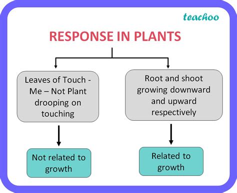 Do Plants Respond To Talking