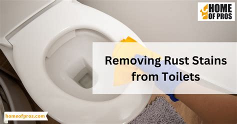 Do Porcelain Toilets Rust