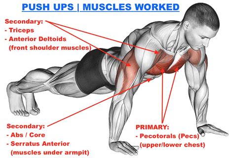 Do Push Ups Work Your Stomach