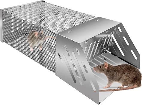 Do Rat Cage Traps Work