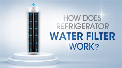 Do Refrigerator Filters Really Work