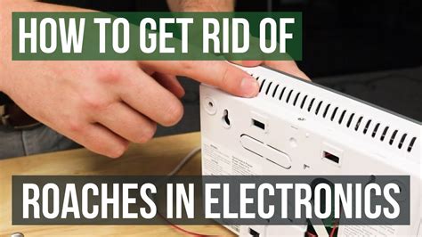 Do Roaches Hide In Electronics