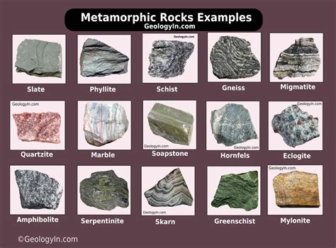 do rocks have cells