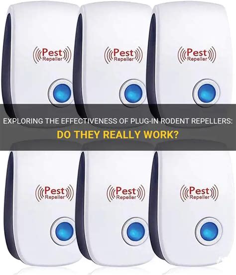 Do Rodent Repellers Affect Cats
