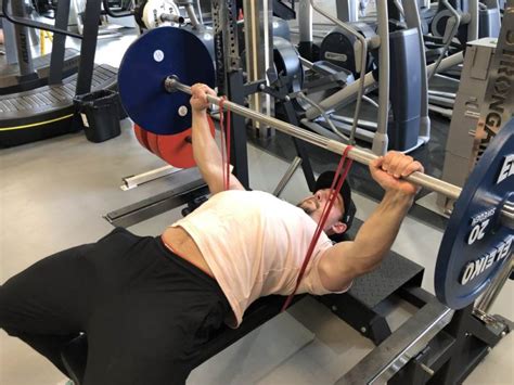 Do Rows Help Bench Press